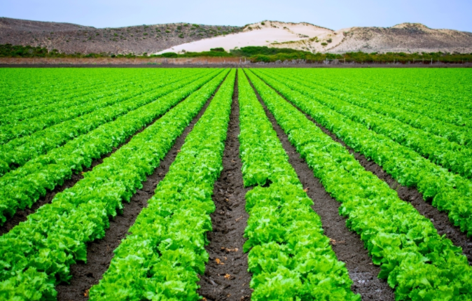 1683603567171673.png image.png